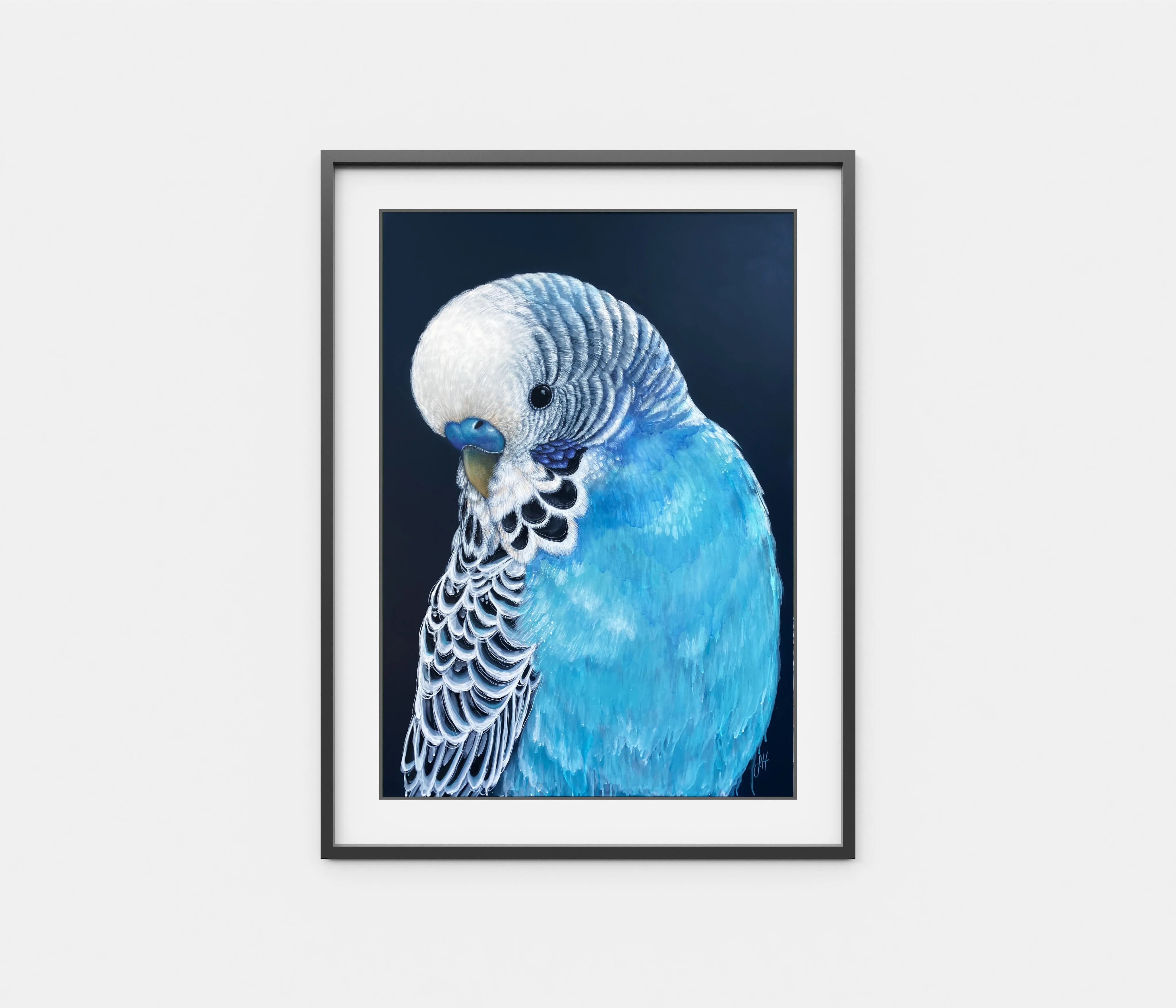 'Locky' the Budgie
